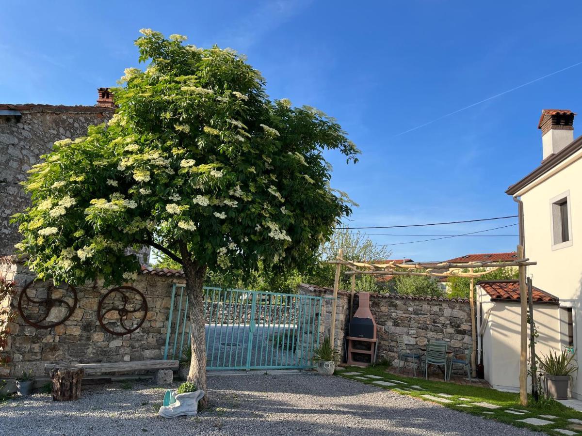 Apartma Ob Stari Murvi, Sežana Exterior foto